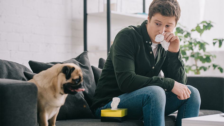 Installing an air purifier is one of the best approaches to boost your residence’s indoor air quality. Find out more about the three top options. 